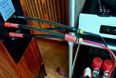 Audiophile bi-wired adapter