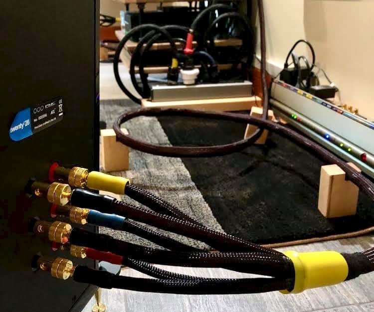 Reference Speaker and Power Cables
