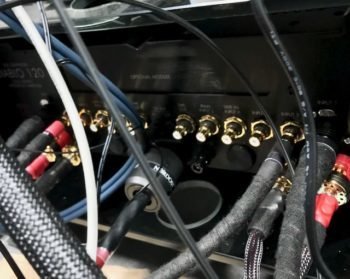 Gryphon amplifier rear