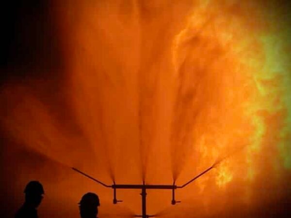 Videos for you and videos for your pleasure