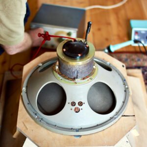 Tannoy Autograph loudspeakers